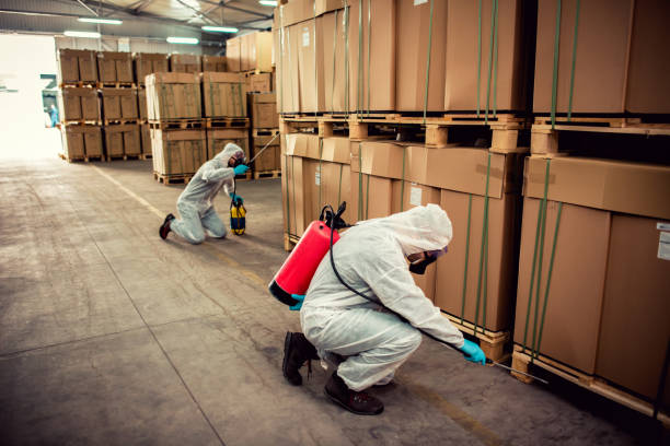Best Emergency Pest Control  in Madison, NE
