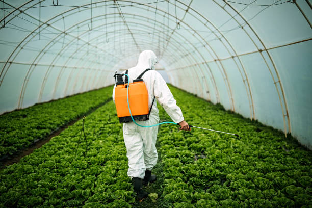 Best Affordable Pest Control Services  in Madison, NE
