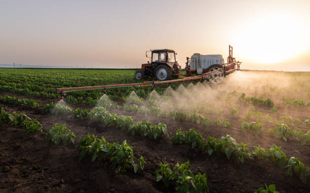 Best Mosquito Control Services  in Madison, NE