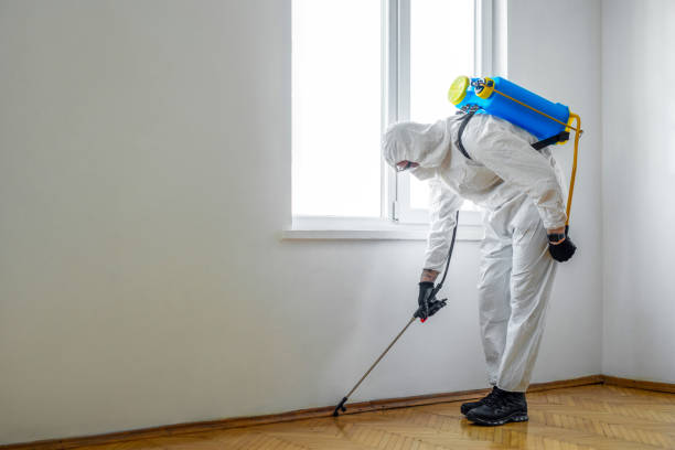 Best Local Pest Control Services  in Madison, NE