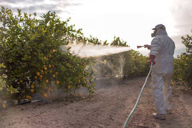 Trusted Madison, NE Pest Control Experts