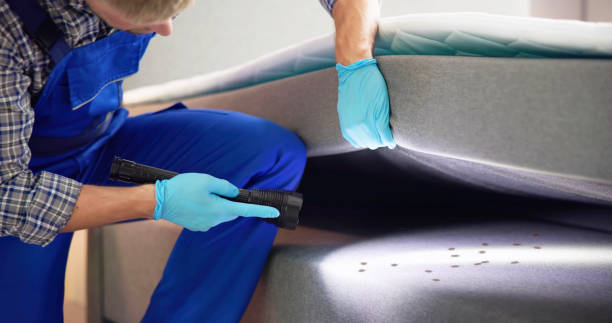 Best Best Pest Control Companies  in Madison, NE