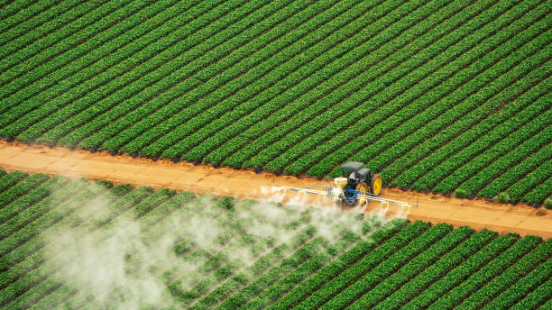 Best Termite Control Services  in Madison, NE