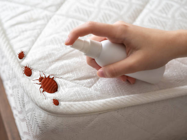 Best Pest Inspection Near Me  in Madison, NE