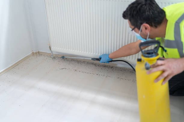 Best Exterminator Services  in Madison, NE