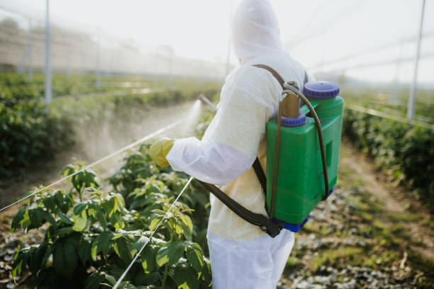 Best Affordable Pest Control Services  in Madison, NE